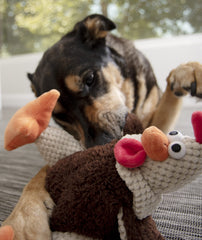 goDog Coq damier jouet à couineur, stimule l’amusement et l’attention