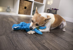 goDog Gators : peluche à texture bulle bleue, douceur et réconfort lors des câlins.