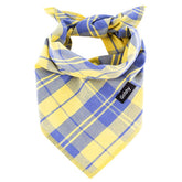 Bandana Gofshy pour chien été jaune et bleu, style festif pour balades.
