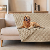 Couverture gogobunny impermable 3x-protection protège les meubles des griffures et accidents.