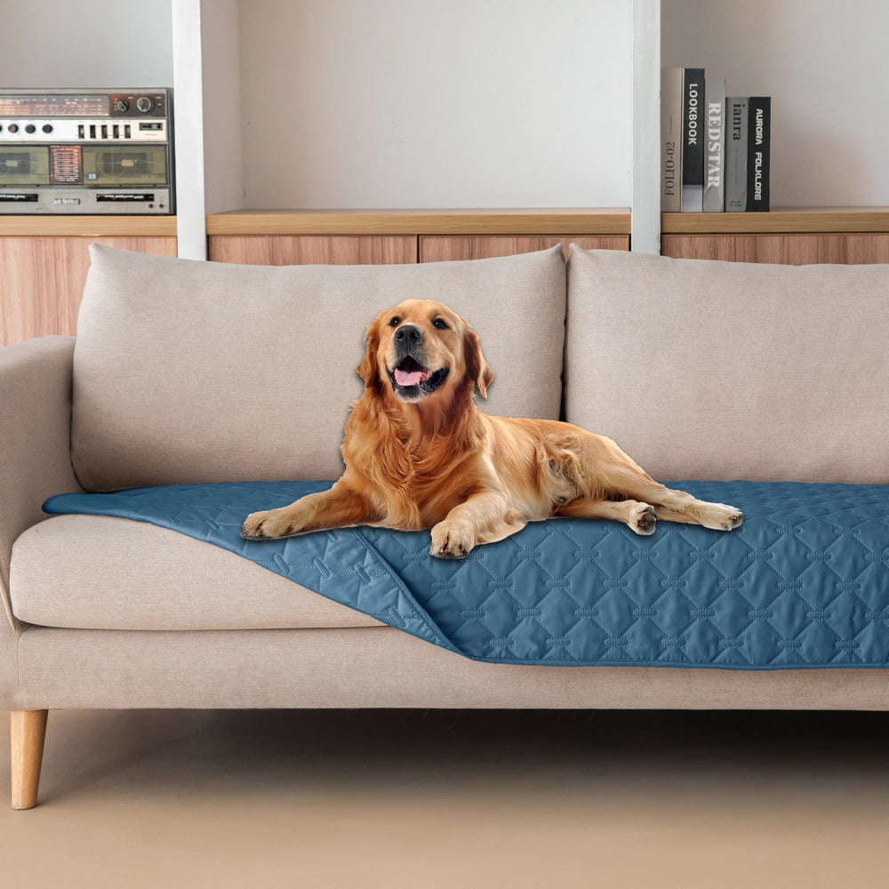 gogobunny couverture imperméable pour animaux protège sols et meubles.
