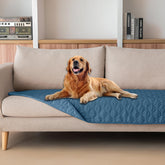 gogobunny couverture imperméable pour animaux protège sols et meubles.