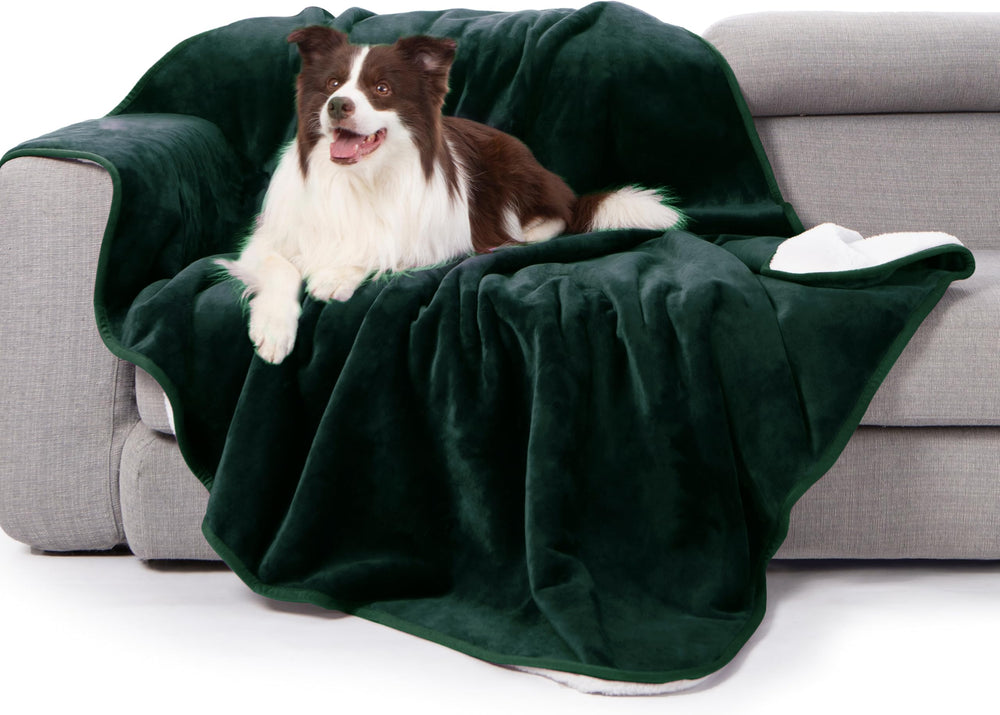 gogobunny Couverture-lit imperméable forêt verte 50x60, protège contre les déversements.