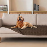 Gogobunny: couverture imperméable pour protéger le canapé des taches et éclaboussures.