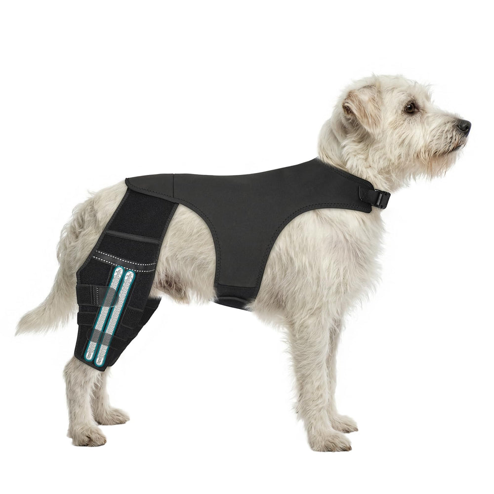 GoGoPaw attelle genou chien double – harnais arrière pour stabilité