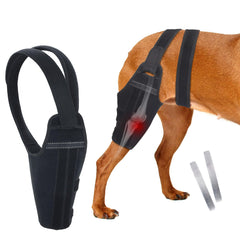 GoGoPaw attelle genou chien droit, soutien durable pour mobilité