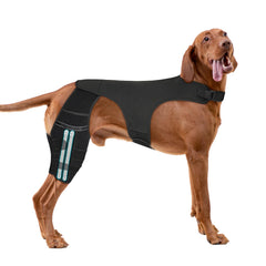 GoGoPaw brace genou chien arriere: soutien stable pour pattes arriere