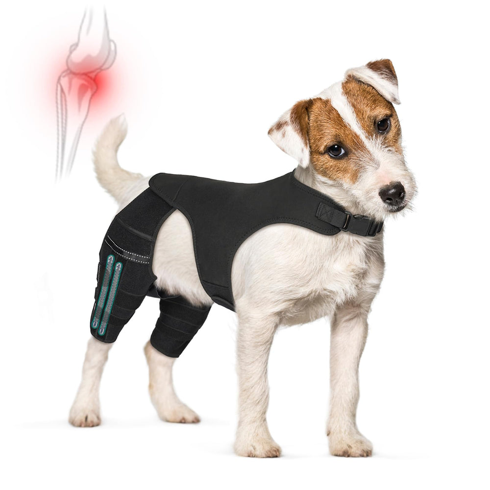 GoGoPaw orthèse genou arrière reglable offrant un soutien lors des promenades.
