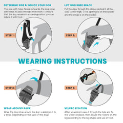Genouillère GoGoPaw pour chien – sangles ajustables et velcro sécurisant.