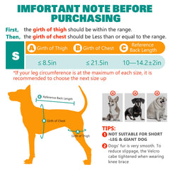 GoGoPaw matériau respirant et doux pour le confort quotidien des chiens.