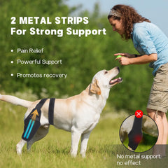 GoGoPaw orthèse genou chien avec deux stabilisateurs : stabilité articulations pendant récupération.