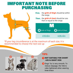 GoGoPaw soutien articulations chien post-chirurgie récupération en douceur