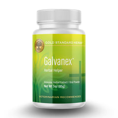 Galvanex: flacon-poudre-qi soutient le qi et le bien-être canin