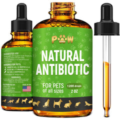 Golden Paw antibiotiques, bouteille gouttes pratiques pour chiens et chats, administration facile.