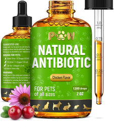 Golden Paw antibiotiques chat, bouteille et pipette, soutien potentiel au bien-être.
