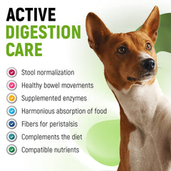Golden Paw probiotiques liquides, absorption rapide ajoutée à la nourriture.