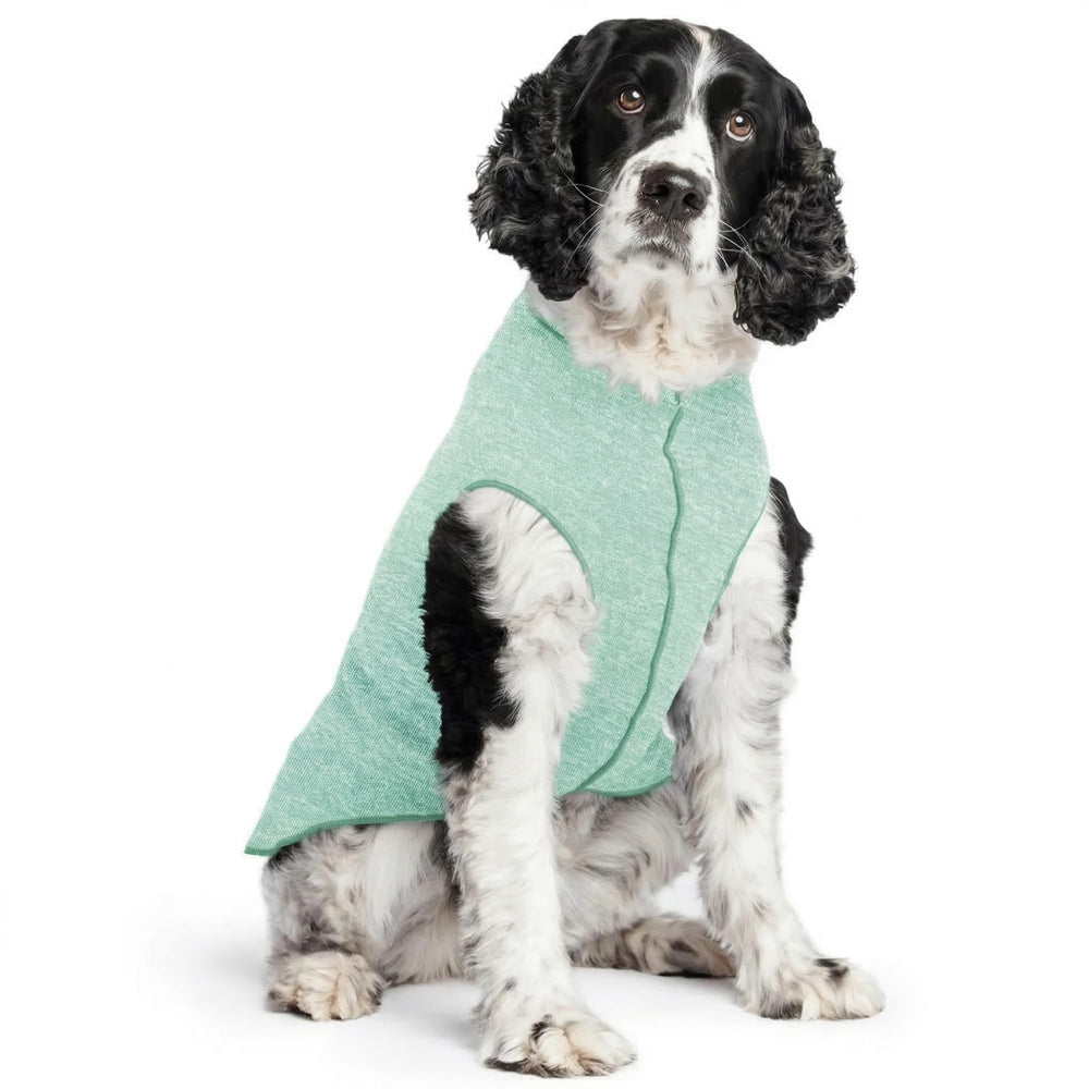 Goldpaw chemise soleil pour chien vert pistache: protection UV et confort.