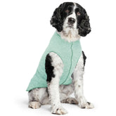 Goldpaw chemise soleil pour chien vert pistache: protection UV et confort.