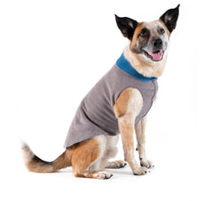 Gold Paw Duluth Double Fleece, gilet pour petit chien, chaleur douce en automne.