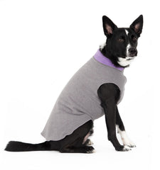 Goldpaw Duluth Double Fleece pour chien, veste charbon lavande, chaleur douce et confort.
