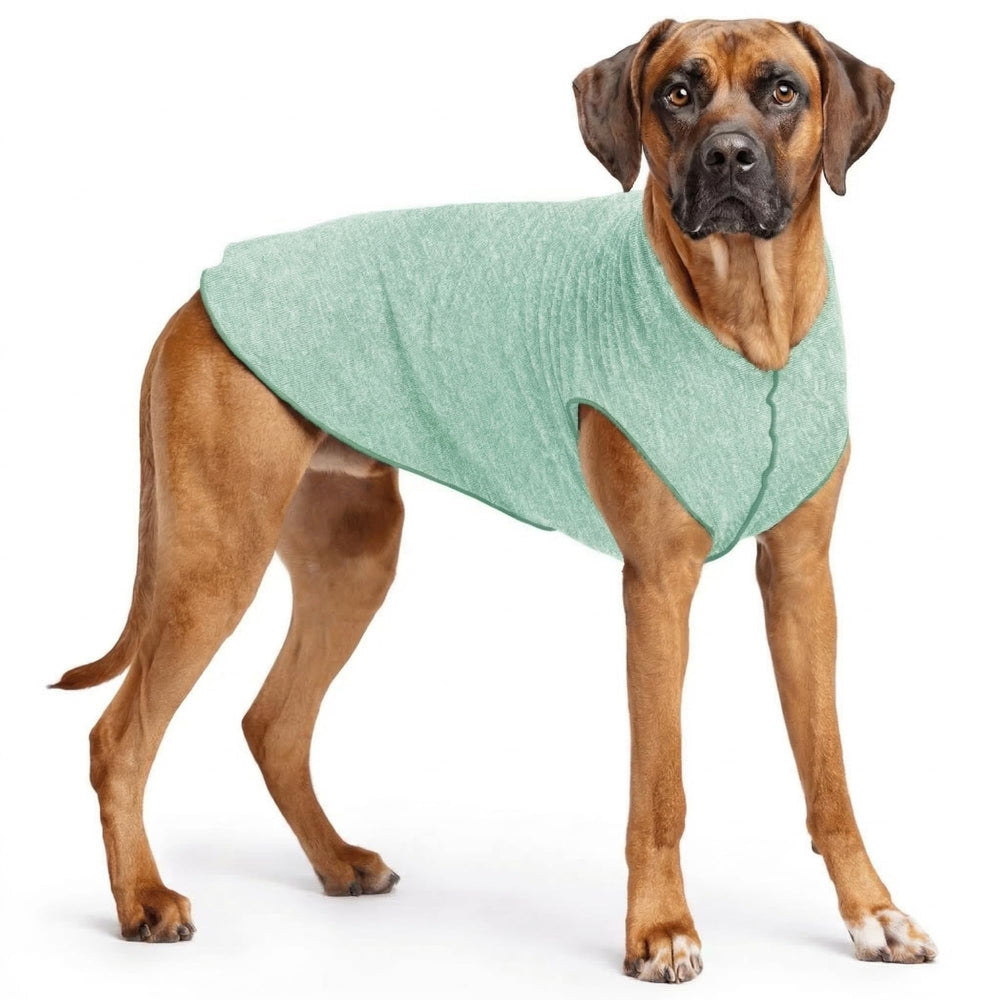 Goldpaw maillot-chien protection-uv: barrière solaire légère pour sorties.