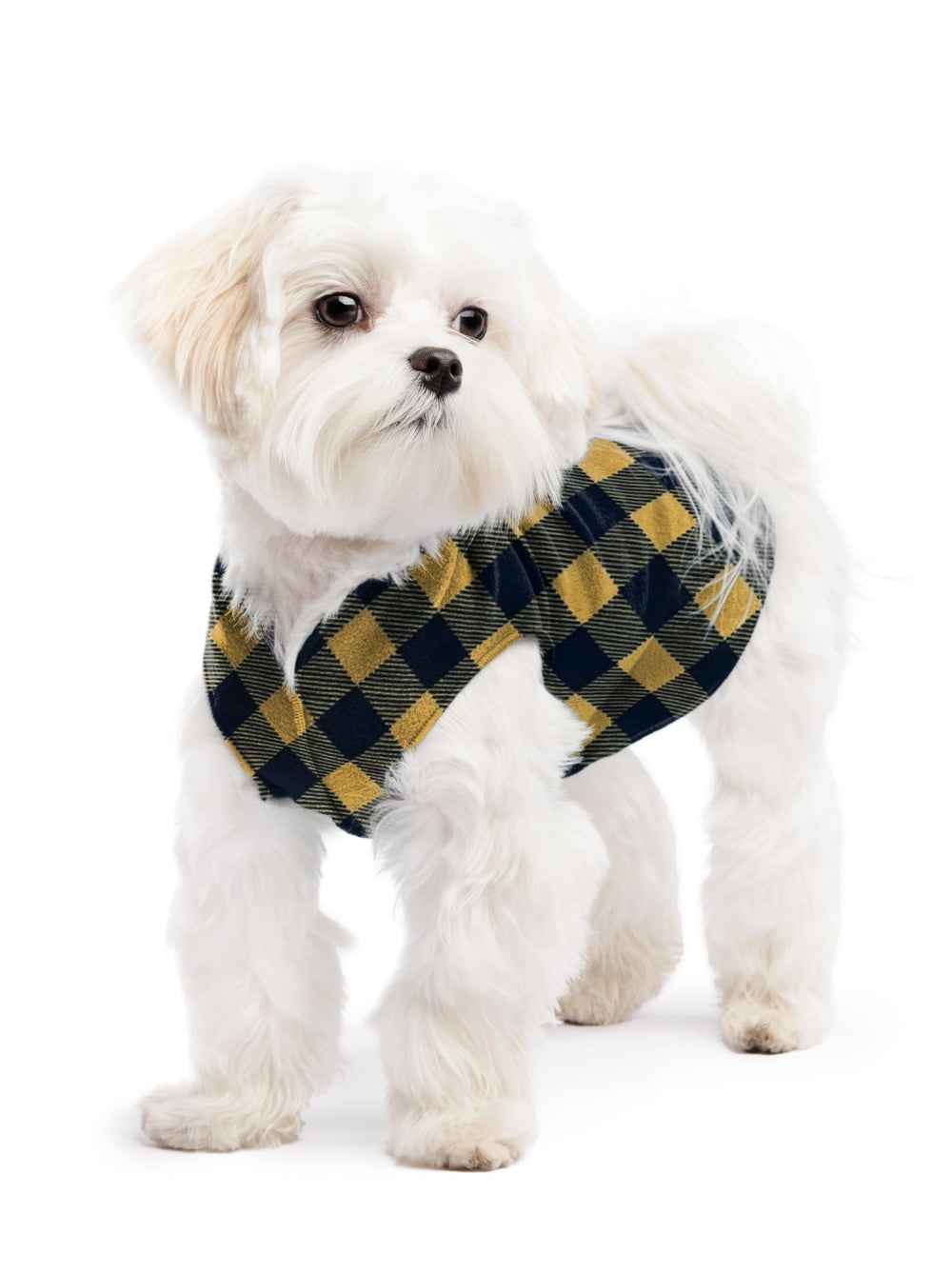Pull fleece extensible Gold Paw pour chien, chaleur douce et enfilage facile.