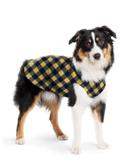 Pull-polaire extensible Gold Paw pour chiens, chaleur et mobilité lors des promenades.