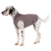 Pull polaire stretch Gold Paw pour chien, chaleur et liberté de mouvement.