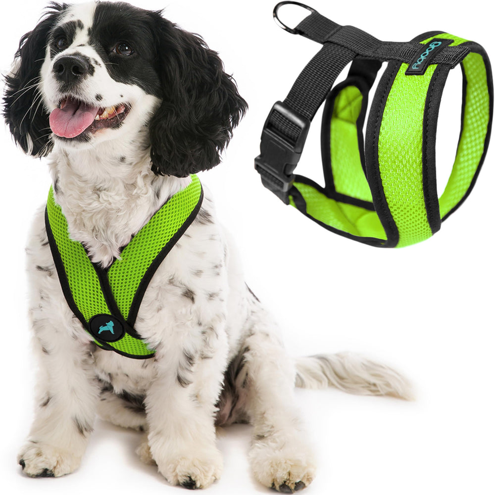 Gooby Comfort X harnais vert, vue avant, confort et sécurité pour petits chiens.