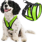 Gooby Comfort X harnais vert, vue avant, confort et sécurité pour petits chiens.