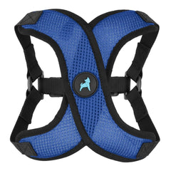Harnais Gooby Comfort X bleu, vue générale adaptée aux petits chiens.