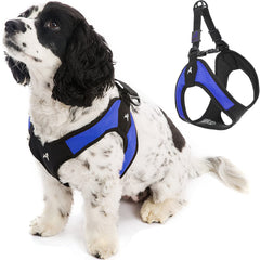 Gooby Escape Free Easy Fit: harnais bleu anti-évasion idéal pour petits chiens.
