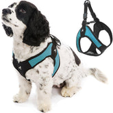 Gooby Escape Free Easy Fit, vue arrière du harnais, anti-évasion lors des promenades.