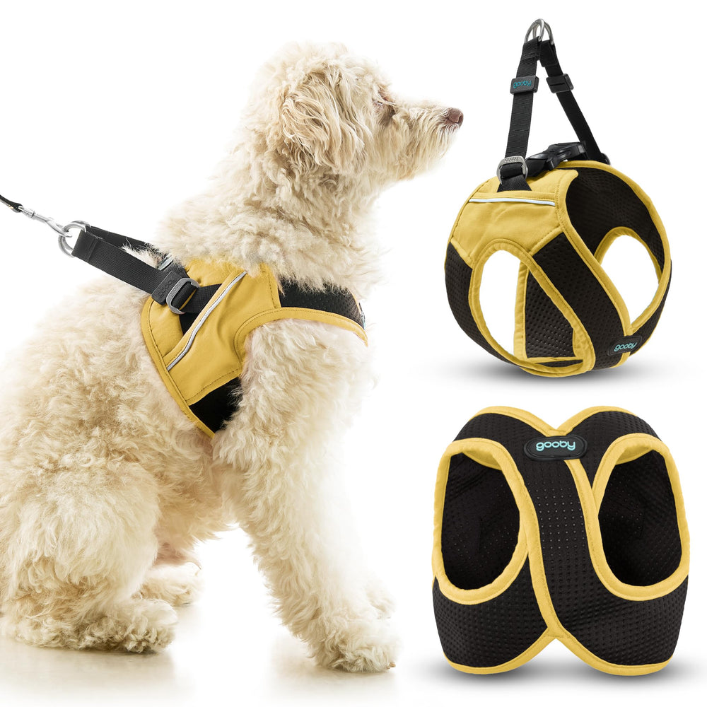 Harnais Gooby à enfiler, design anti-échappement pour chien, sécurité lors des promenades.