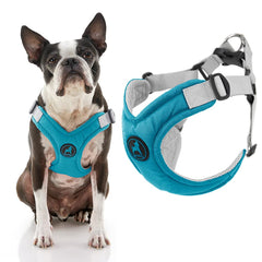 Harnais Gooby mémoire-mousse: confort durable pour petits chiens, turquoise