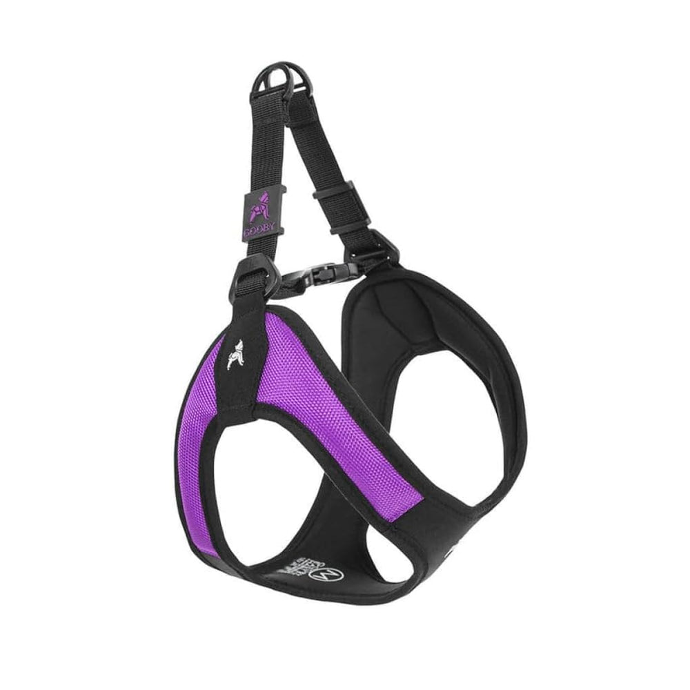 Harnais Gooby sans évasion pour petit chien violet XS, sécurité renforcée.