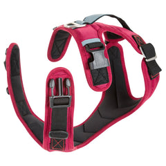Harnais Gooby Pioneer réglable au cou et à la poitrine pour un ajustement confortable.