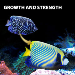GOOD PARTNER Purify Series ingrédients naturels nourrissant poissons marins