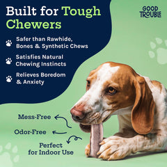 Good Trouble morceaux-cornes-de-cerf dentition chiot, sécurité et durabilité