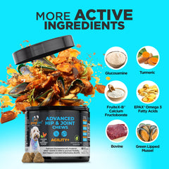 Googipet Premium gommes articulations chien: visuel des ingrédients clés garantissant un soutien global.