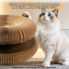 Goosheep Kitty Kurls carton durable résistant aux griffes.