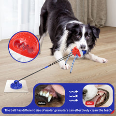 Gootosee corde renforcée : résistance durable pour chiens agressifs qui mordent.