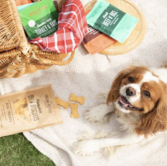 Variété de saveurs dans Portland Brew Biscuit, récompense appétente pour chiens.