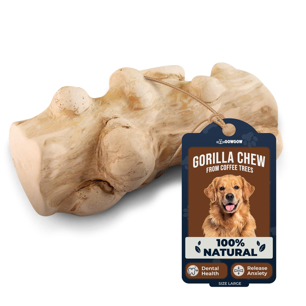GOWGOW gorille à mâcher en bois de café, mastication robuste pour grands chiens.