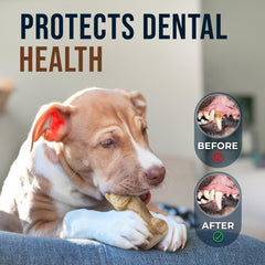 GOWGOW bois café, outil anti-stress pour chiens qui aiment mâcher.