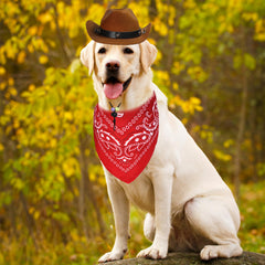 Bandana rouge GOYOSWA pour chien, motif distinctif et chic