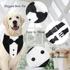 GOYOSWA Collier ajustable chien en action lors d’une promenade