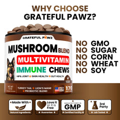 Grateful Pawz: huile oméga-3 saumon, peau saine et pelage brillant chez le chien.