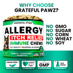 Ingrédients naturels Grateful Pawz: curcuma, colostrum et quercétine.