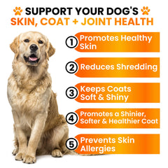 Grateful Pawz Omega 3 poil brillant chien, nourrissant la peau